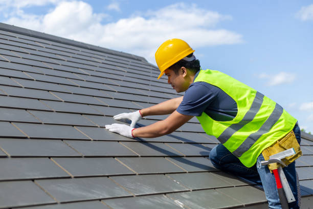Best Roof Gutter Cleaning  in Starbuck, MN