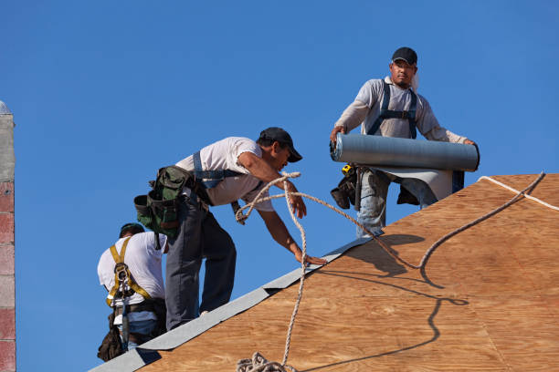 Best Commercial Roofing Services  in Starbuck, MN