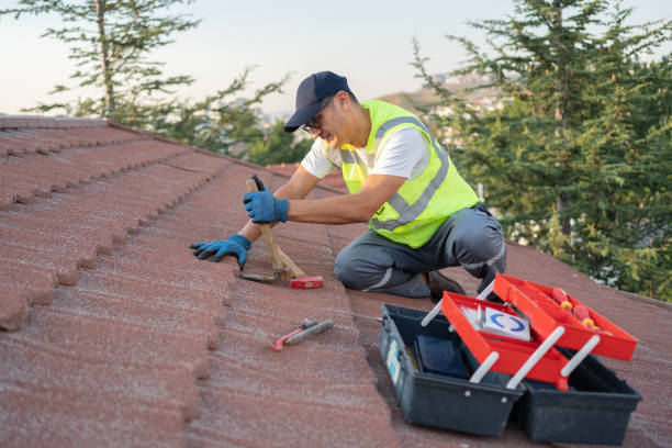 Reliable Starbuck, MN Roofing Contractor Solutions