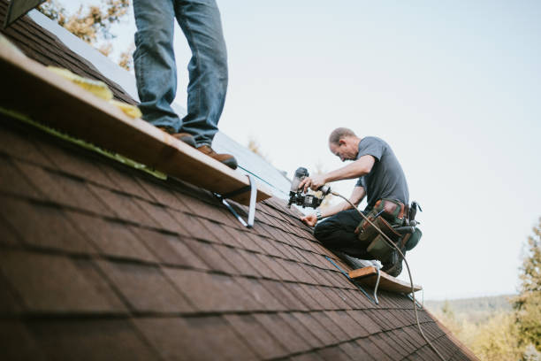 Best Roof Waterproofing Services  in Starbuck, MN