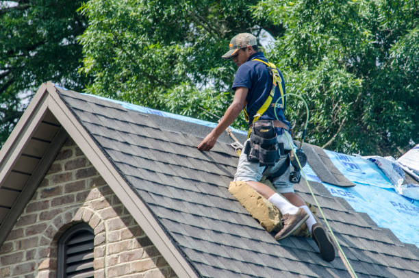 Best Residential Roof Replacement  in Starbuck, MN